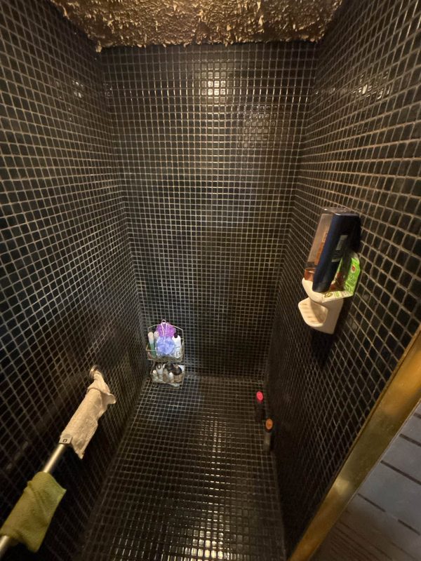 Black mosaic tile shower walls and floor